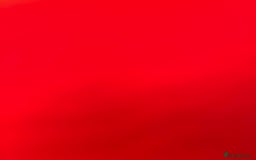 Bengal cats for sale: Marbles - Image 5