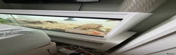 Bearded Dragon reptiles for sale: Bearded dragon with full set up  - Advert 13