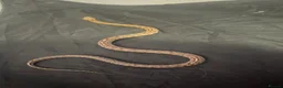 Corn Snake reptiles for sale: 2x corn snakes £150 each with full setup  - Advert 12