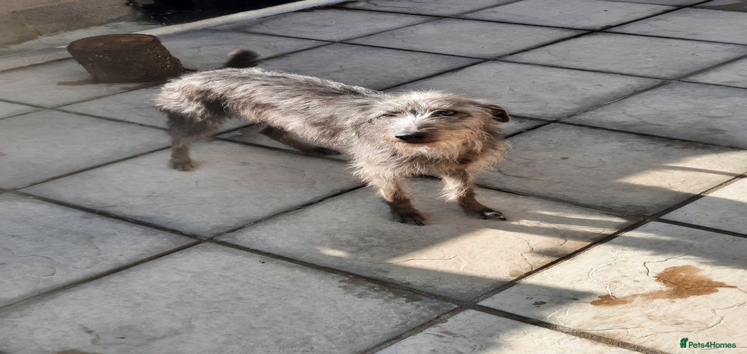 Gallery Image {{count}}