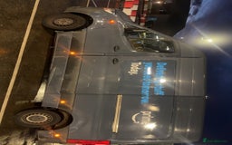 Mixed Breed cats for sale: Mixed breed cat  - Image 3