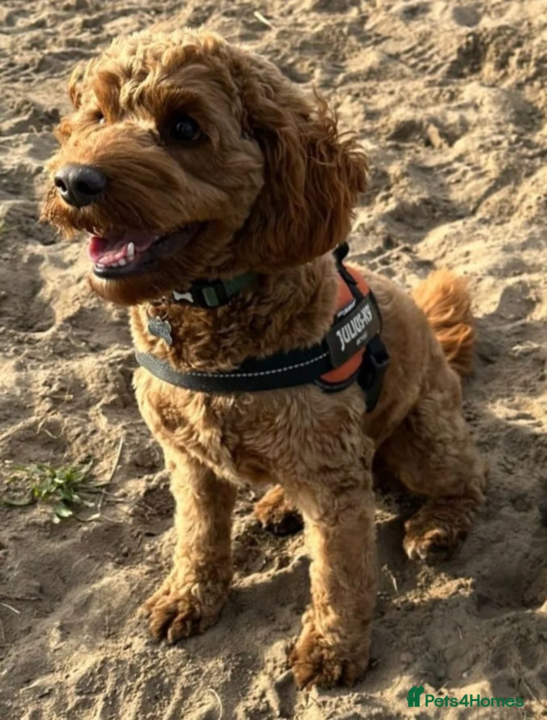 Gallery Image {{count}}