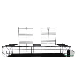 Guinea Pig rodents Little friends 140 cage - Advert 17