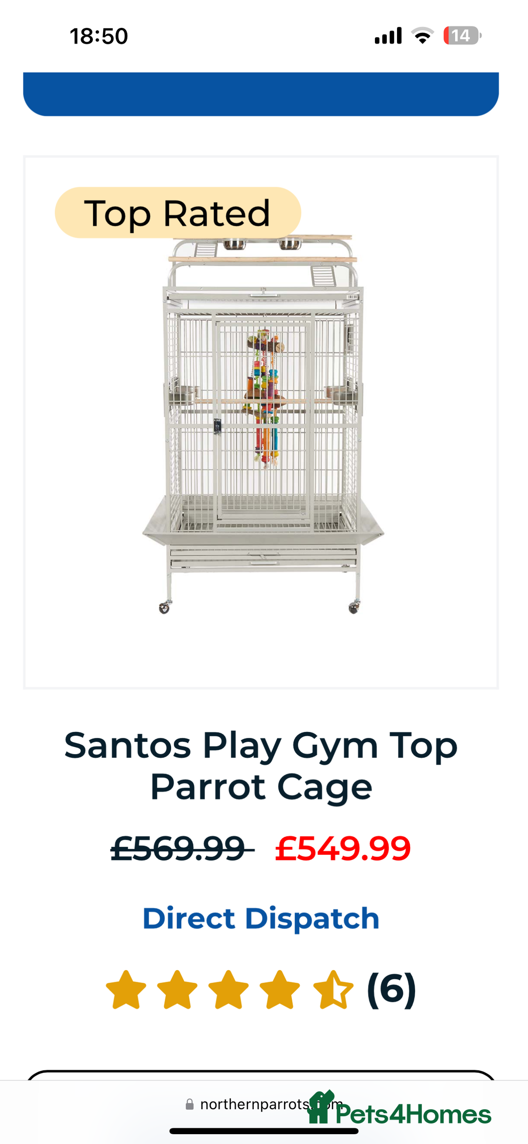 Parrots birds for sale: African Grey - Advert 3