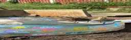Ducks poultry for sale: 2 mallard ducks for sale unsexed  in Castleford - Advert 2