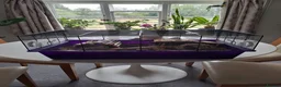 Mouse rodents for sale: Bonded female fancy mice - Advert 6