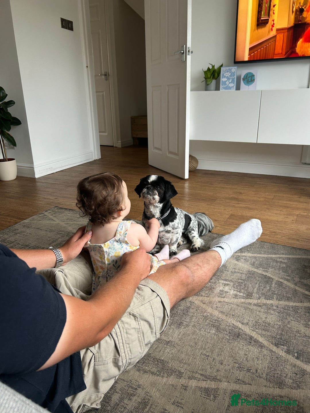 Gallery Image {{count}}