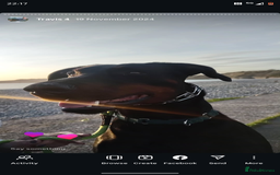 Dobermann dogs for sale: 4 year old Male Doberman looking for forever home - Image 3