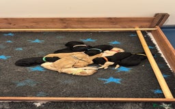 Goldendoodle dogs for sale: Stunning Goldendoodle Puppies - Image 3