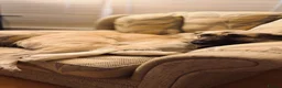 Anatolian Shepherd dogs for sale: Anatolian Shepherd in Gloucester - Advert 3