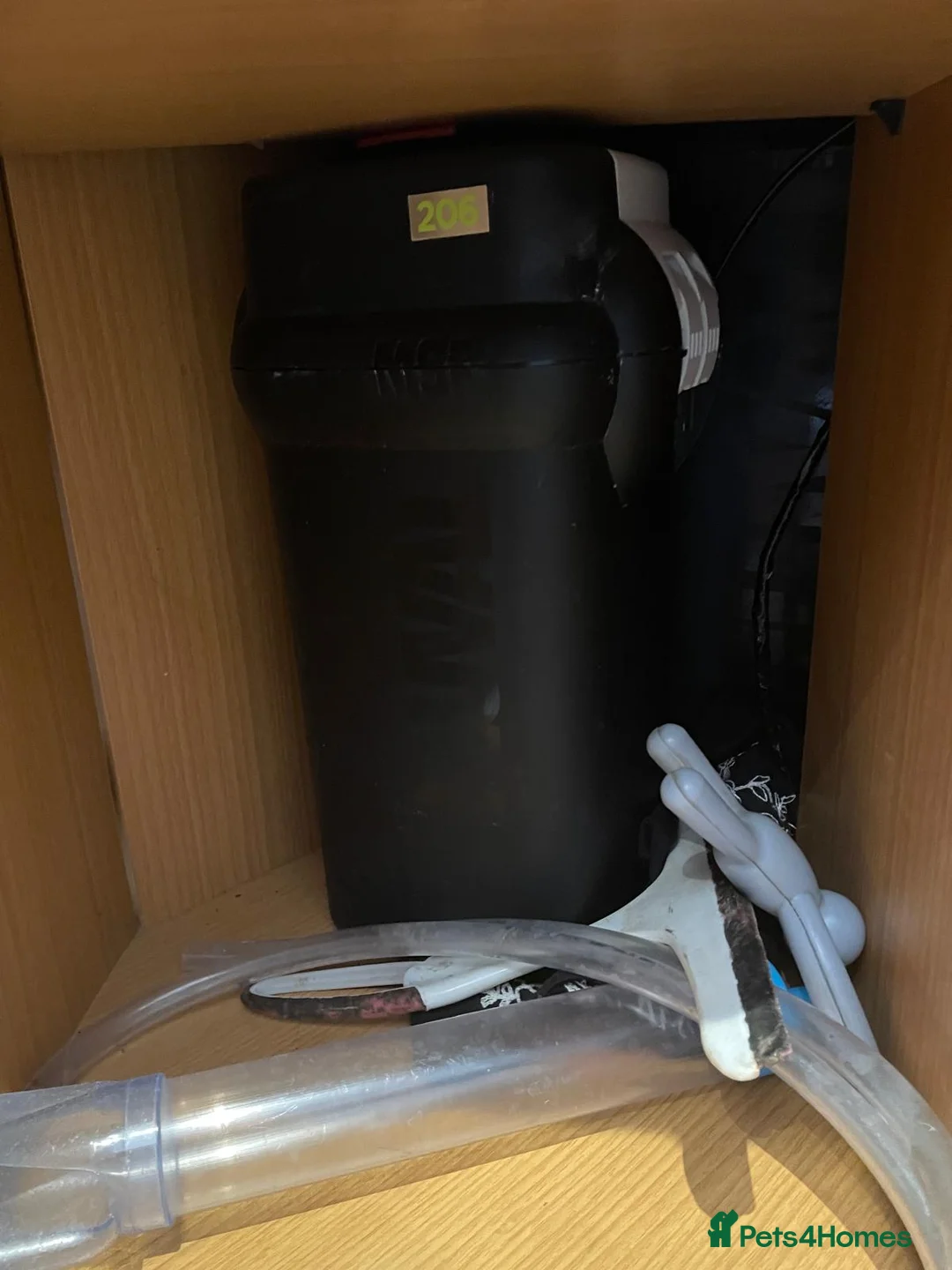 Other/Mixed Breed fish for sale: Juwel Trigon 190 Liters Complete setup in Watford - Advert 6