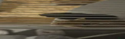 Gerbil rodents for sale: 3 male gerbils in Stockton-on-Tees - Advert 5