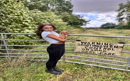 Labrador Retriever dogs for sale: Fox Red Labrador Puppies  - Image 11