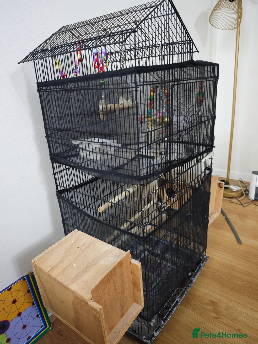 Budgerigars birds for sale: Cage for sale - Advert 2