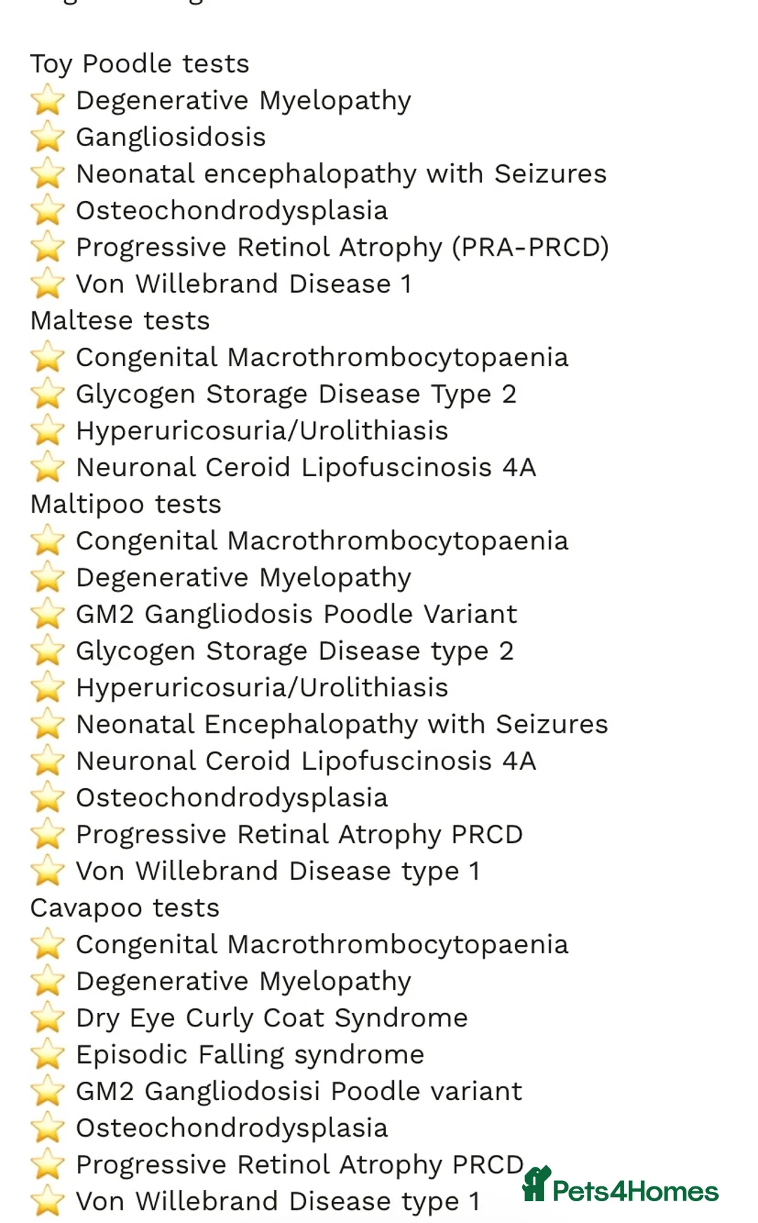 Toy Poodle dogs for stud: 🌟 HEALTH TESTED MED/SMALL BREED STUD DOGS   - Advert 2