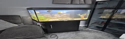 Fancy Goldfish fish for sale: 120 litre juwel tank with 2 fancy goldfish  - Advert 1
