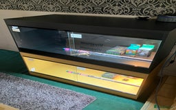 Bearded Dragon reptiles for sale: New Bearded Dragon Vivarium Setup Kits in Downham Market - Image 6