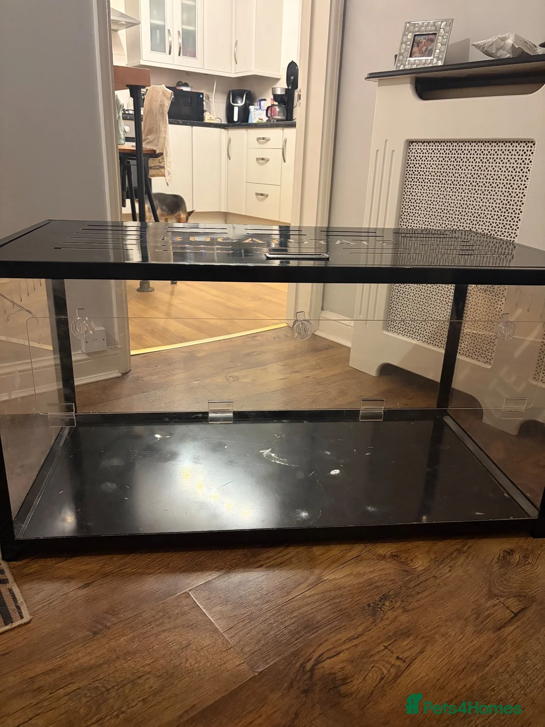 Hamster rodents for sale: BUCATSTATE hamster cage  - Advert 1