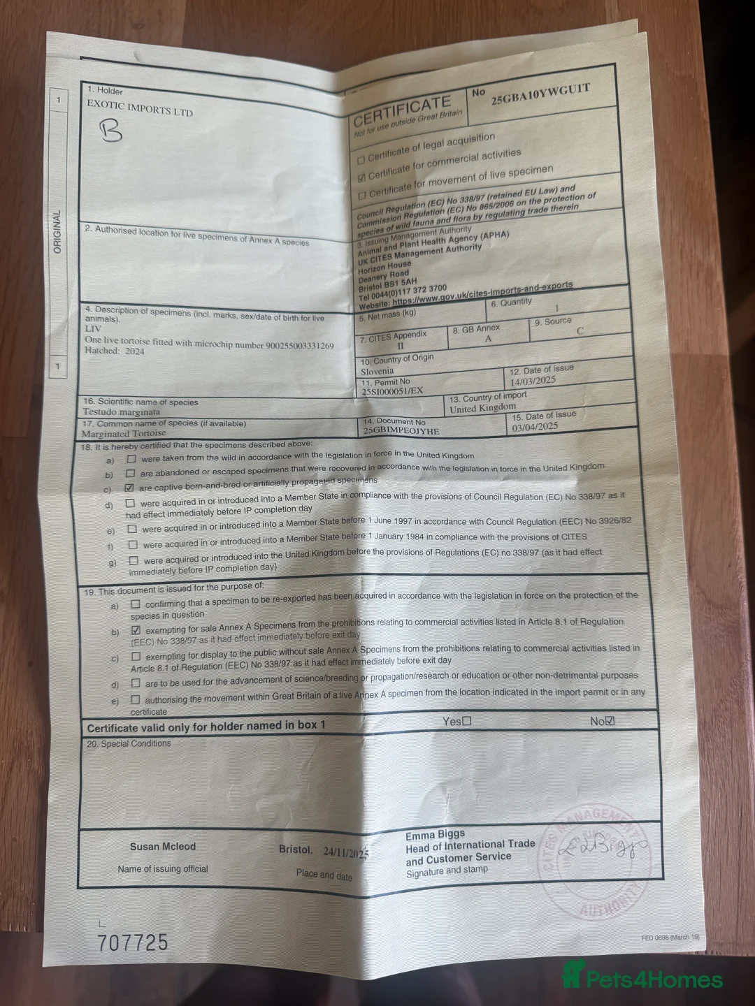 Tortoise reptiles for sale: 2x tortoises  in West Bromwich - Advert 6