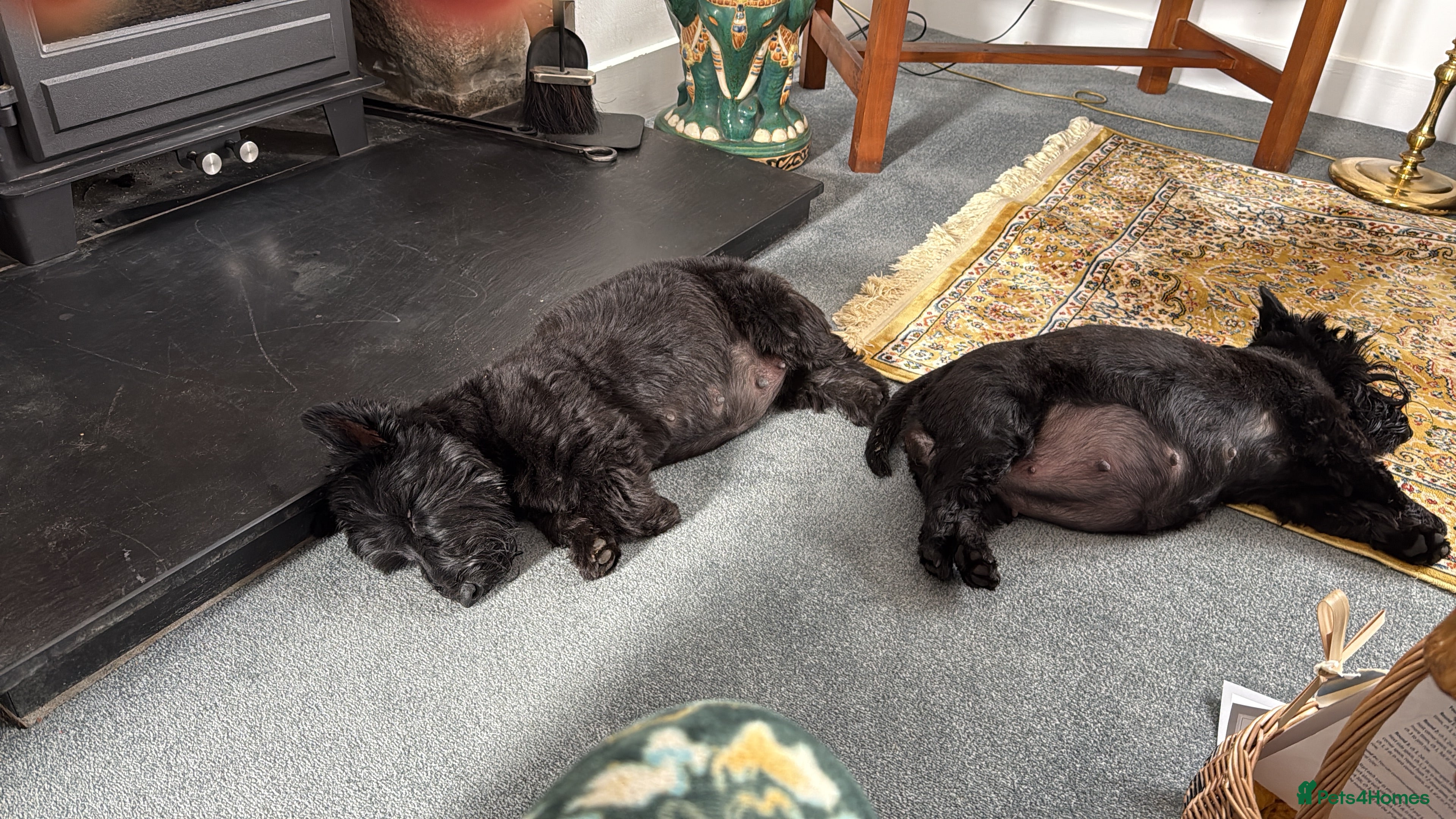 Bell & Tinker