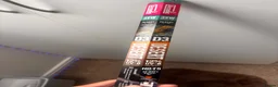 Bearded Dragon reptiles for sale: Bearded Dragon  in Leicester - Advert 9