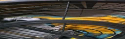 Macaws birds for sale: Blue and gold macaw  in Oldham - Advert 2