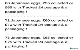 Quail poultry for sale: QUAIL HATCHING EGGS/JULY 28TH ! in Warminster - Image 32