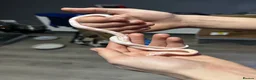 Corn Snake reptiles for sale: Albino Baby Corn Snake with Full Setup - Advert 6