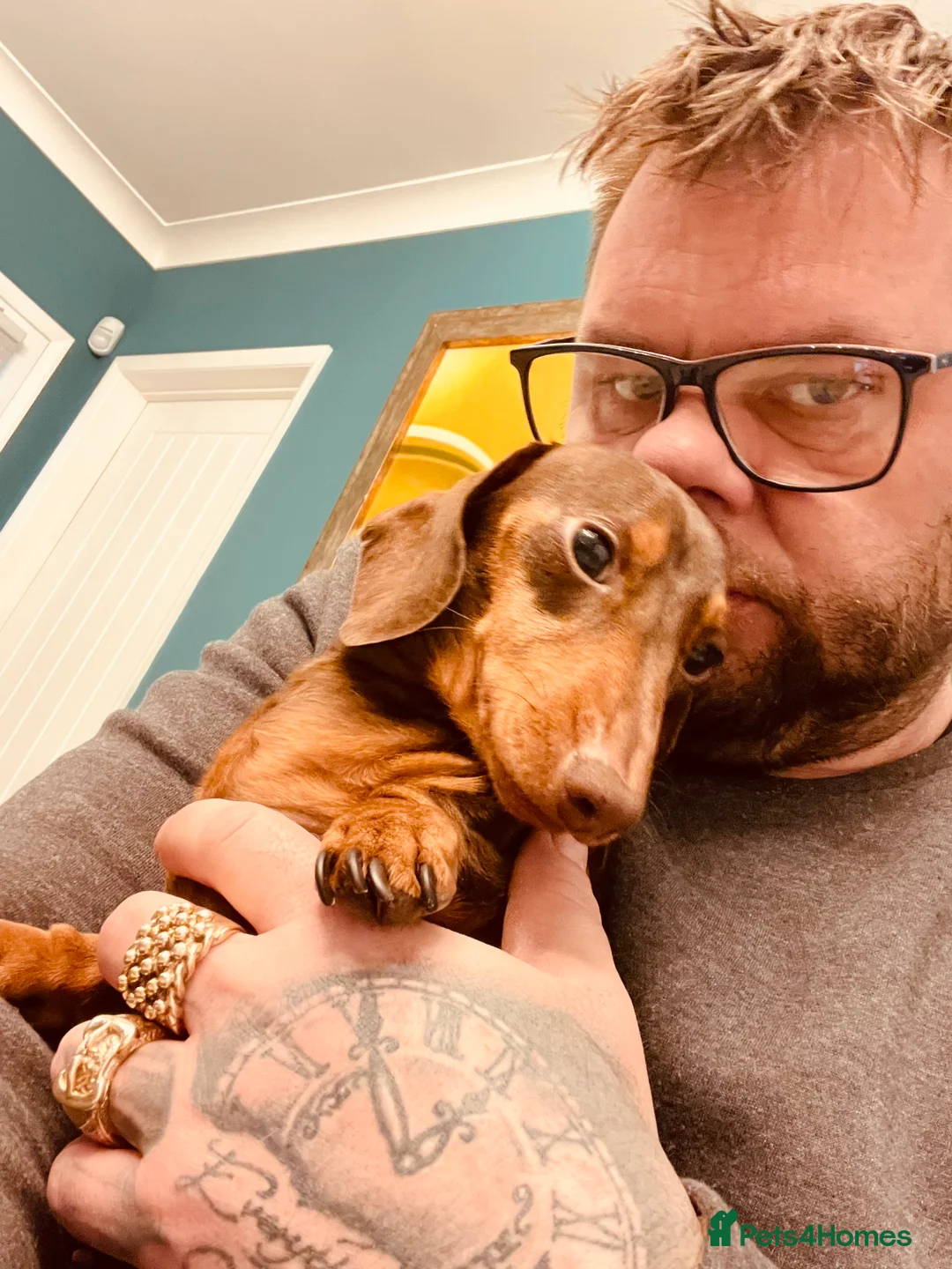 Gallery Image {{count}}