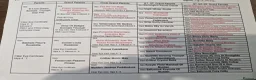 Golden Retriever dogs for sale: EXTENSIVELY HEALTH TESTED INTERNATIONAL PEDIGREE - Advert 14