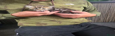 Mixed Breed 2