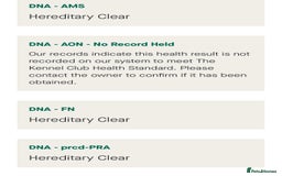 Cocker Spaniel dogs for stud: FTW Cocker At Stud  - Image 4