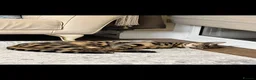 Bengal cats for sale: Mr.Atesh - Advert 6