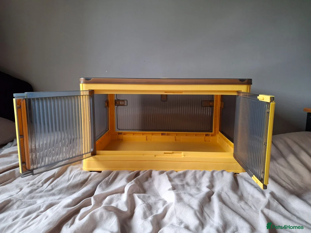 Chickens poultry for sale: Chick starter kit - Advert 1