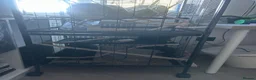 Rat rodents for sale: Two young male rats and cage for sale  - Advert 4