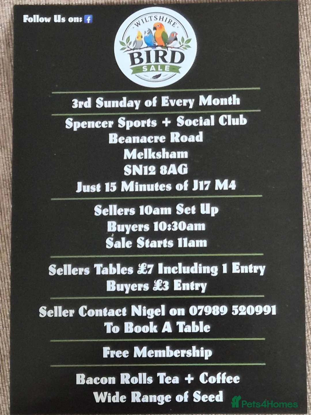 Mixed Breed birds for sale: Bird sell  in Melksham - Advert 1