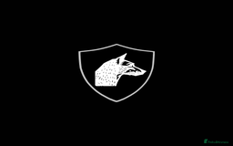 Mixed Breed dogs for sale: Bull X Lurchers - Working Lines - Image 1