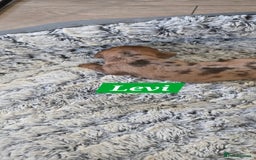 Dachshund dogs for sale: Beautiful Dapple Dachunds - Image 11