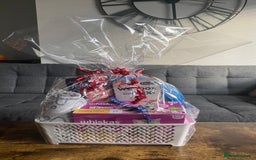 British Shorthair cats for sale: Stunning British short hair GCCF/TICA - Advert 18