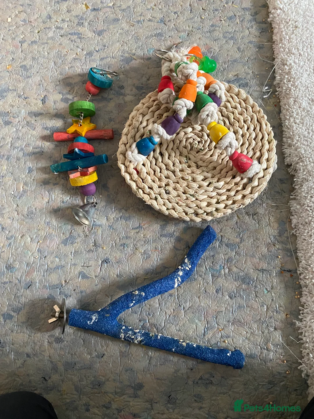 Budgerigars birds for sale: Variety Of Cages - Advert 12