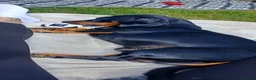 Dachshund dogs for stud: black and tan dachshund - Advert 3