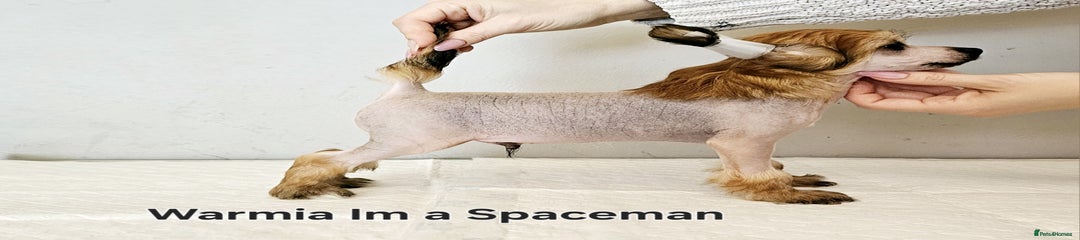 Warmia I'm a Space man 