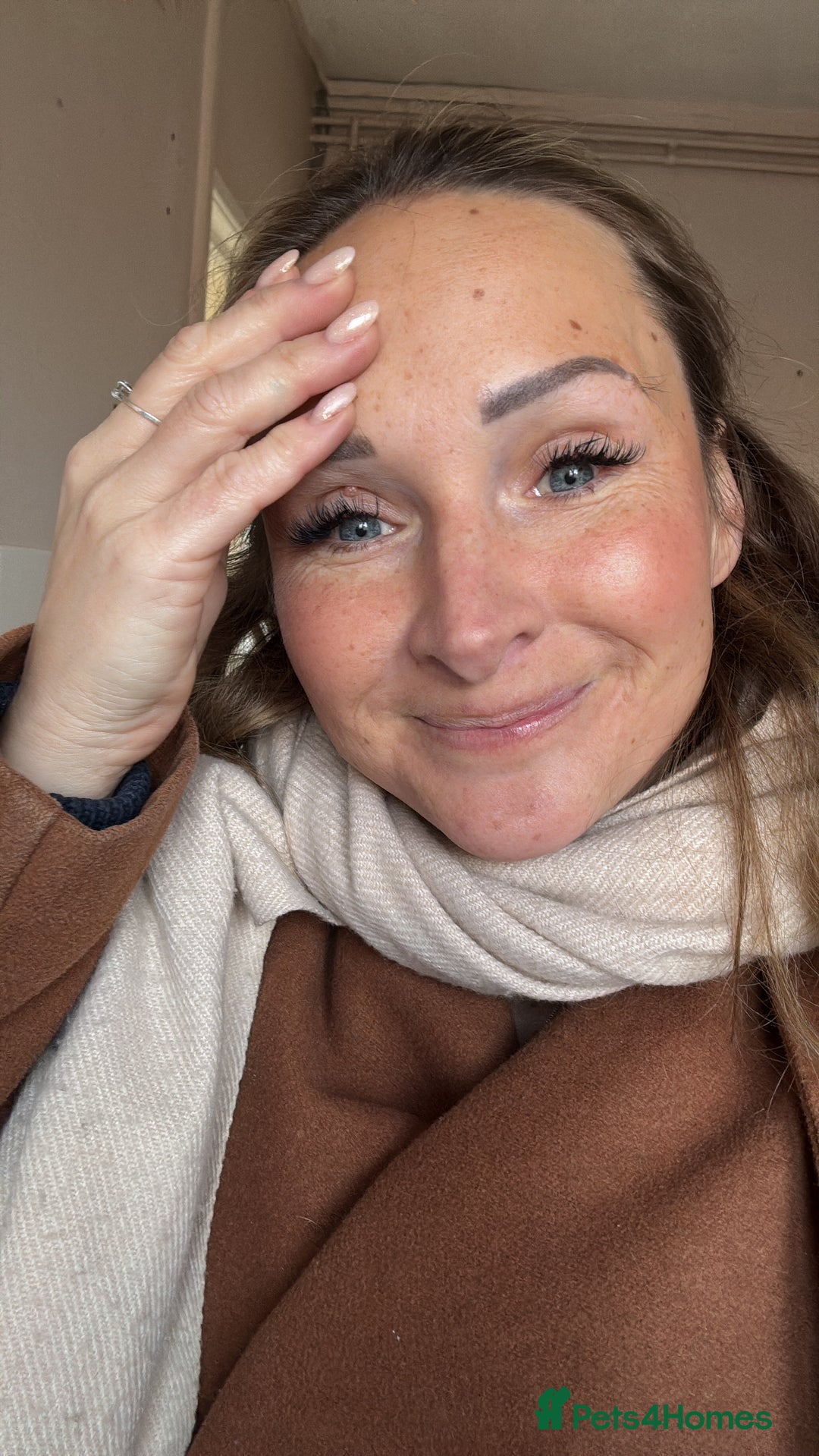 Scottish Fold cats for sale: 6 beautiful Scottish fold kittens - Advert 17