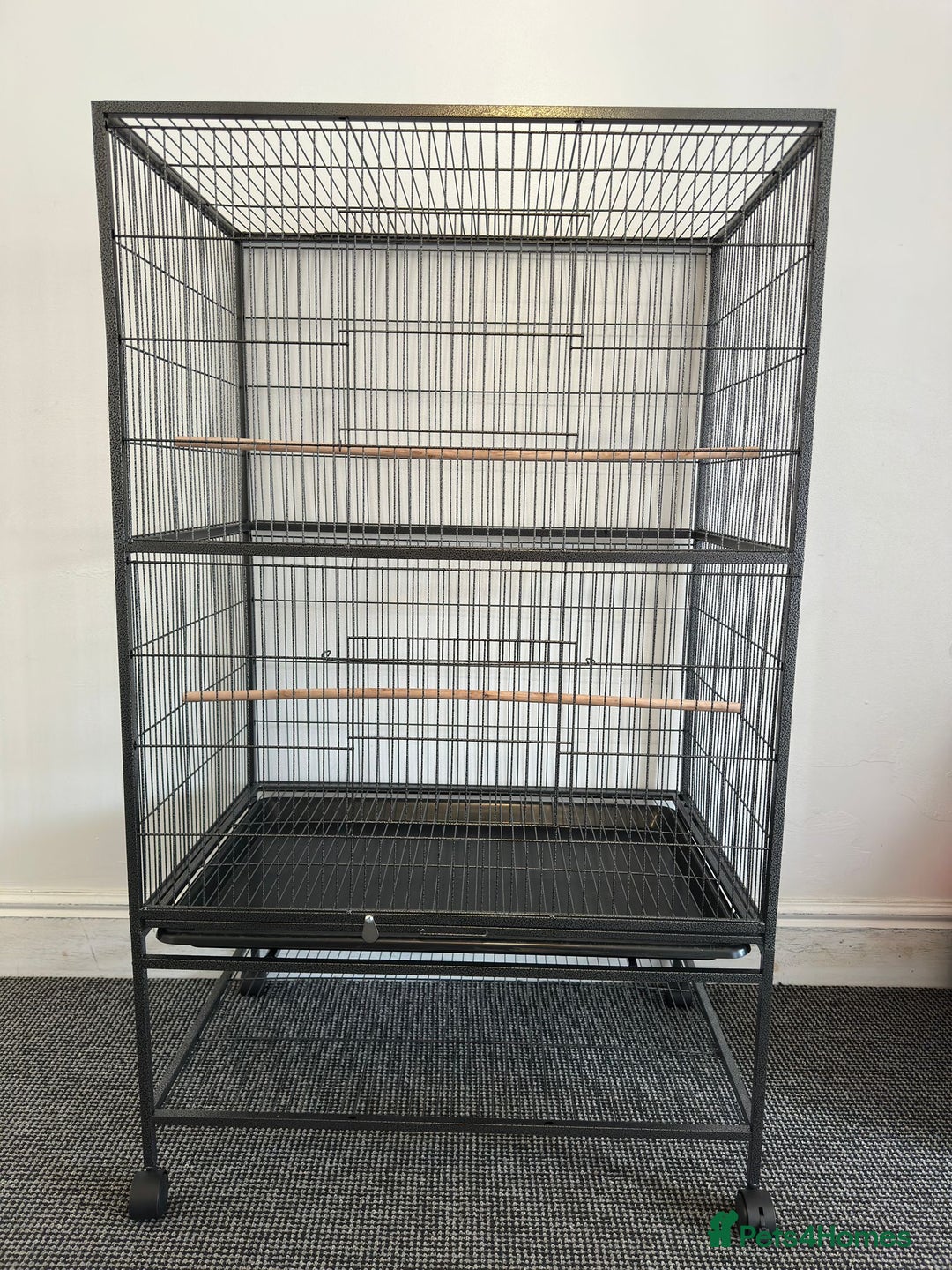 Mixed Breed birds for sale: Large bird cage - Image 1