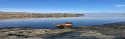 Labrador Retriever dogs for sale: Fox Red Labrador - Advert 6
