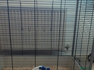 Rat rodents Large furplast rat cage (£159 brand new) - Advert 11