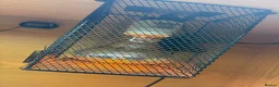 Bearded Dragon reptiles for sale: Sunny the bearded dragon  in Bedworth - Advert 5