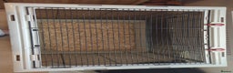 Rat rodents for sale: Large furplast rat cage (£159 brand new) - Advert 2