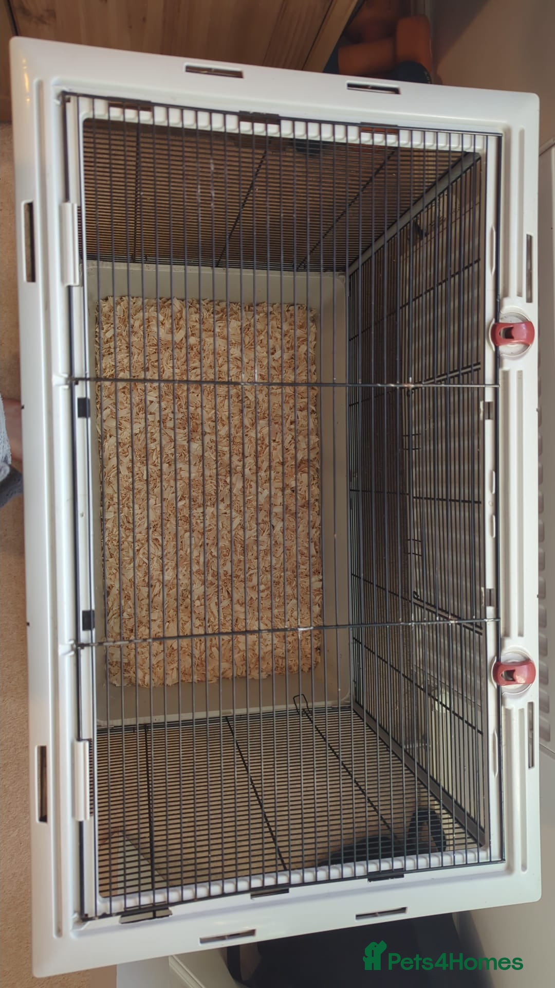 Rat rodents for sale: Large furplast rat cage (£159 brand new) - Advert 2