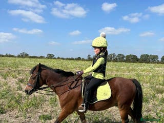 Welsh Section B horses Welsh part bred lead rein / confident first ridden - Advert 14